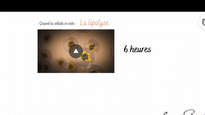 Biologie cutanée : l'adipocyte